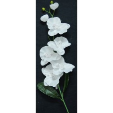 Orchid White