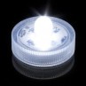 SUBMERSIBLE LED LIGHT